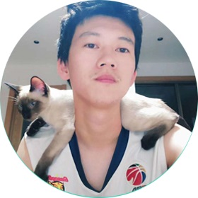 李震 About Image